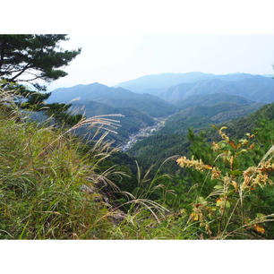 【愛知】


鳳来寺山東照宮から見れる絶景です。