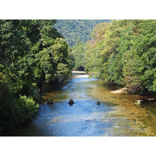 【愛知】


新城
湯谷温泉　宇連川です。