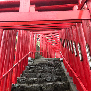 #山口 #元乃隅神社