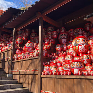 勝尾寺⛩🍁
だるまだらけのお寺です〜