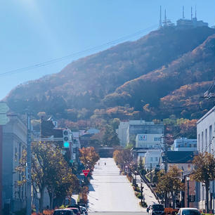 八幡坂を下から眺める
人力車からの撮影

坂の上の大きな山は
函館山です⛰