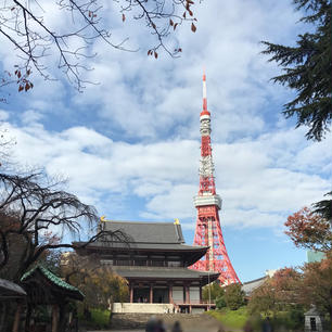 増上寺と東京タワー