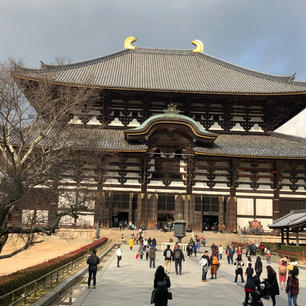 ついに来ました。大仏殿