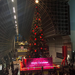 京都駅のクリスマスツリー🎄
とっても大きくて色も変わるしキレイやったなぁ☺️