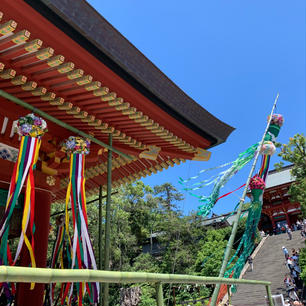 鶴岡八幡宮🌿

鎌倉駅から徒歩10分ほどで着きます。
参拝するの勝負運が上がると
言われているそうです😳✨