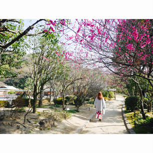 愛媛県　松山城二ノ丸庭園