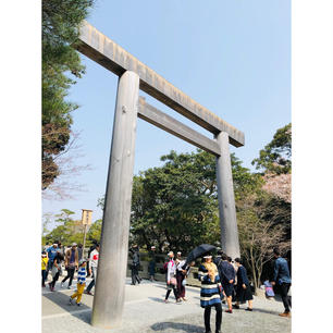 2018.04.02   伊勢志摩回

伊勢神宮⛩

さすがにおみくじで大吉引かせてくれるほど甘い場所じゃなかったな🤦🏻‍♂️