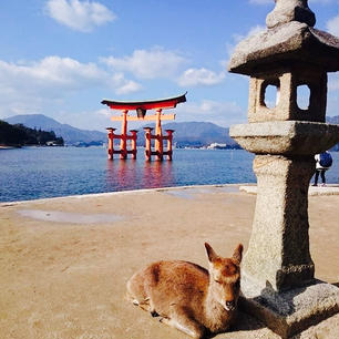 広島＊厳島神社