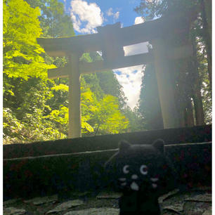 11/09/20
@日枝神社
#君の名をの舞台
#にゃーと旅日記