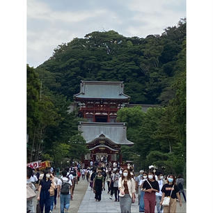 鶴岡八幡宮🇯🇵

#鶴岡八幡宮#鎌倉#小旅行