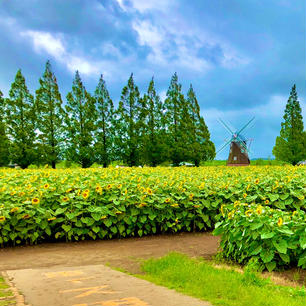 あけぼの山農業公園