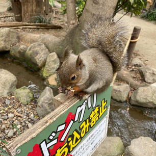 食べてる様子もかわいい