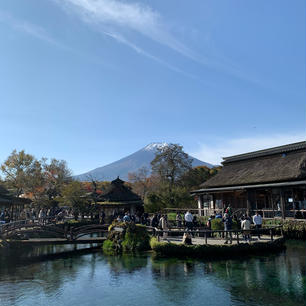 忍野八海/山梨
富士山も綺麗に見れました🤗