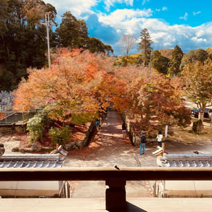 興聖寺
美しい紅葉の「琴坂」曹洞宗の名刹
竜宮門の二階から撮影しました😃

#京都　#神社仏閣 #サント船長の写真
#絶景ポイント　#紅葉