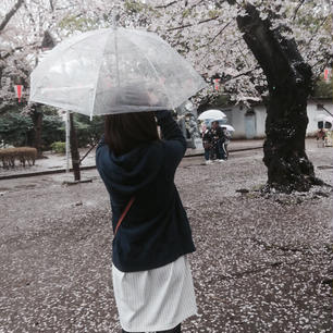 上野恩賜公園☔️🌸
2017/4/9
#東京