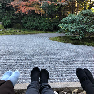 圓徳院

はぁー。癒される🍁