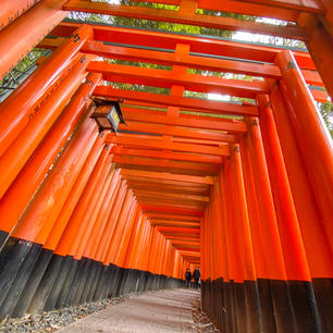 〰️Kyoto🇯🇵〰️
#京都#伏見稲荷神社#千本鳥居