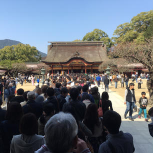 福岡の太宰府天満宮。この日は長蛇の列でした🙏