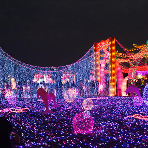 この時期といえば台湾のランタンフェスティバル。しかし今年(新竹)は一時延期らしい。残念なので、３年前嘉義開催のときの写真です。来年また行きたいなあ。