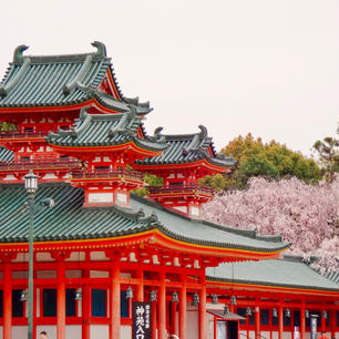 京都
平安神宮
この写真は今年のものではありませんが、紅枝垂れ桜もまもなく満開になるのではないでしょうか。