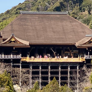 清水寺の舞台　(京都)

清水寺の舞台
「清水の舞台」として知られている清水寺の本堂。

　現在の建物は、徳川家光の寄進により１６３３年（寛永１０年）に再建されたもので国宝。

#サント船長の写真　#京都 #世界遺産　#西国霊場札所巡り  #日本の神社仏閣