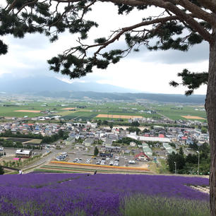 富良野　なかふらのフラワーパーク
リフトでラベンダー畑を眺めながら街を一望できます
小さい所なので人も少なく穴場です