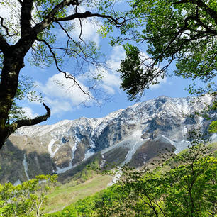 水の山　大山へ
下山ルート
行者谷からの1コマです