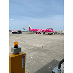 県営名古屋空港(小牧空港)

フジドリームエアラインズのローズピンクに乗ってきました(^^)
後ろにはゴールド！