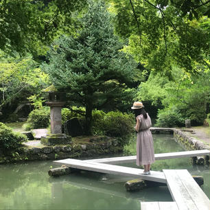 尾山神社で📸