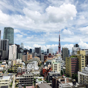 都内某所からの東京タワー🗼
スカイツリーができても、やっぱり東京のシンボルといったら東京タワーですよねー。 #東京 #東京タワー