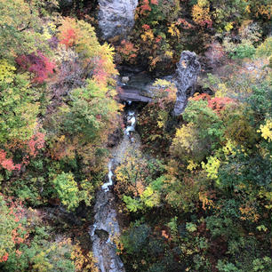 宮城県鳴子の紅葉は日本一