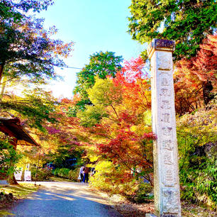 丹波　円通寺