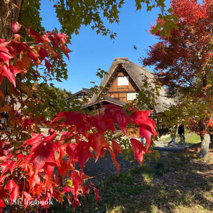 📍岐阜県 白川郷