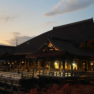 夕焼けの清水寺紅葉🍁がキレイ