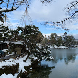 雪の積もった兼六園。寒いけどとても趣きがあります。