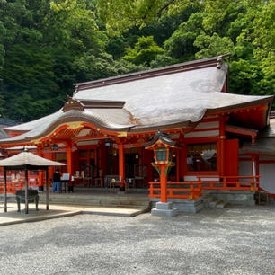 西国札所　第１番
那智山・青岸渡寺

青岸渡寺（本堂）の隣に、熊野那智大社の本殿が建ち並んでいる。熊野本宮大社・熊野速玉大社と併せ「熊野三山」と呼ばれている。明治時代の神仏習合が廃止され。熊野那智大社の「如意輪観音堂」が「青岸渡寺」として復興した。

（紀伊國・和歌山県那智勝浦町）

#サント船長の写真　#三十三所札所  #日本の寺院仏閣