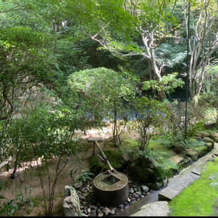 龍安寺 


#サント船長の写真  #龍安寺
#京都   #全国神社仏閣巡り