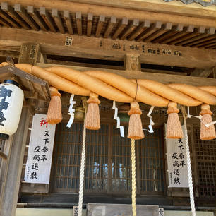 川津来宮神社
河津桜の時期は特別な限定御朱印があります。