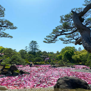 2022.5.7
島根県松江市　由志園