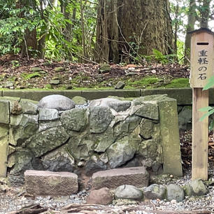 2022.  6   弥彦神社    願い事をして持ち上げ軽いと感じたら願いが叶うと言われる重軽の石   わたしは…努力が必要なようですw
頑張ります！