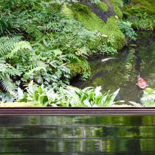 京都
瑠璃光院