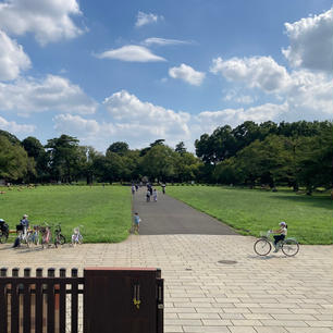 小金井公園

広々した園内は桜の樹がたくさん🌸
街中のマンホールの蓋にも桜の絵がついてました。

#東京
#小金井