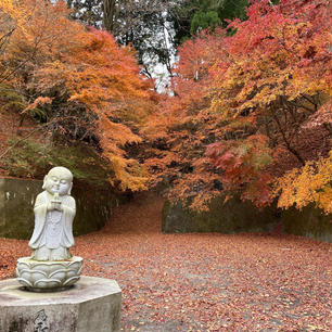 茨城県のもみじ寺🍁