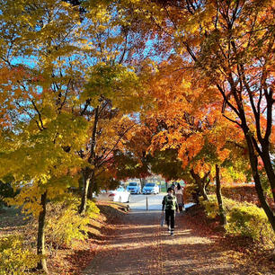 11月の軽井沢