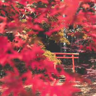 兵庫県/洞光寺