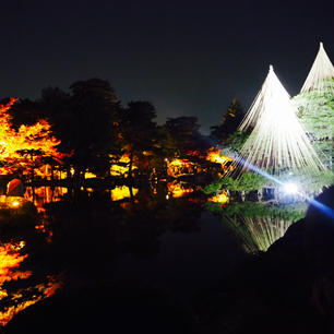 兼六園。
紅葉の夜間のライトアップ