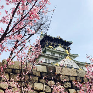 大阪

大阪城と桜
大阪城と梅