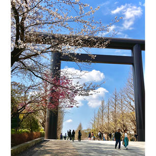 🌟東京都　千代田区🌟
靖國神社

祝🌸桜満開！

桜と季節なので靖國神社へ。
観光客の方で混雑してました。

飲食店やお土産屋さんもあります。
さらにキッチンカーまで出ていて、テラス席やベンチが沢山あるので、プチお花見気分を味わえます。

春限定の刺繍の御朱印と靖國神社限定の【チロリアン】（福岡のお土産の…）、さくら味を購入。
ほんのり桜味で、優しいお味でした。
個包装なので、お土産に最適！


★御朱印、おみくじ有り。（刺繍の御朱印は春に数量限定。夜は夜桜限定御朱印もあります）

★JR飯田橋駅、市ケ谷駅から徒歩10分、東京メトロ、都営新宿線、九段下駅（出口1）より徒歩5分
★九段下1番出口を出ると大きな鳥居のお陰ですぐわかります。