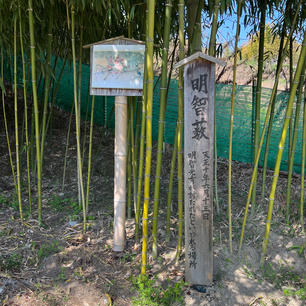 明智薮　(京都伏見小栗栖)
明智藪　明智光秀「絶命の地」はこんな何処です。
言って置きますが、車では無理です、バイクなら大丈夫ですね。
兎に角、下調べを充分にして明智薮へ、
	伏見区小栗栖小阪町

#サント船長の写真