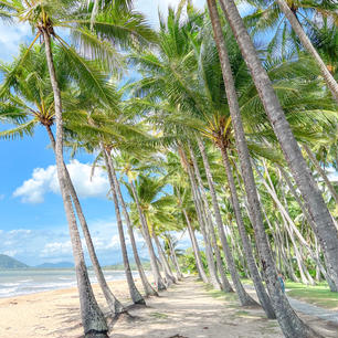 〰️Australia🇦🇺〰️
#cairns#palmcovebeach